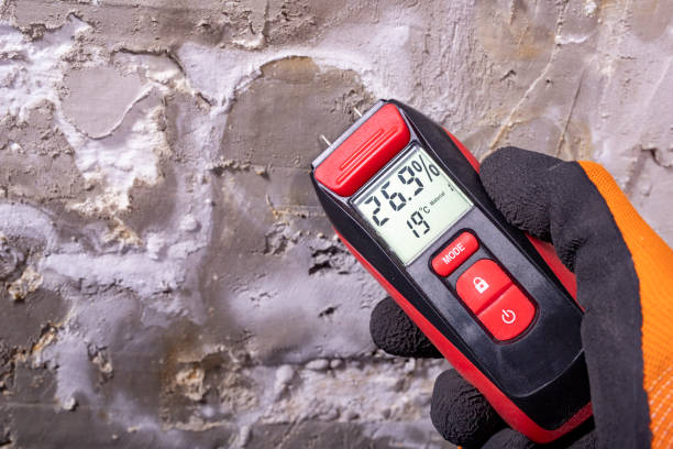 Best Commercial Mold Removal  in Pinetop Lakeside, AZ